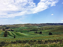 美丽蓝天,乐氏科技.申报