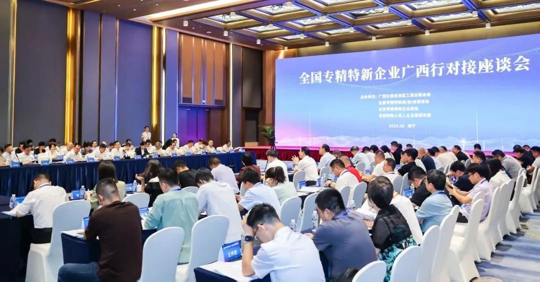全国专精特新广西行座谈会